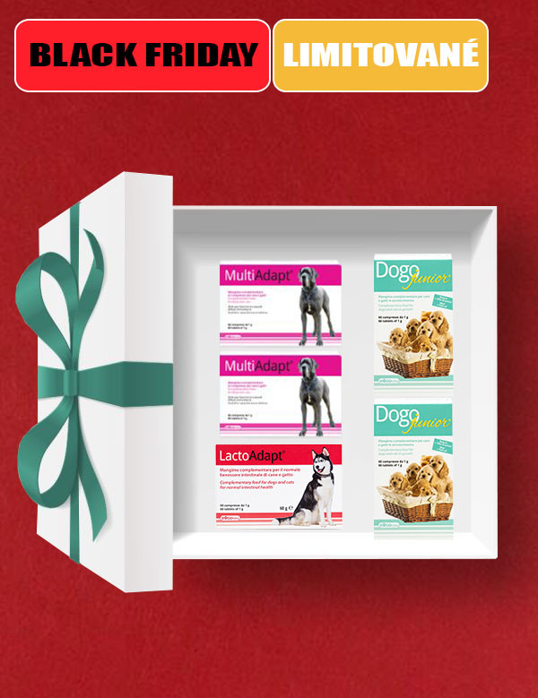 1763567646BF Box junior+.jpg